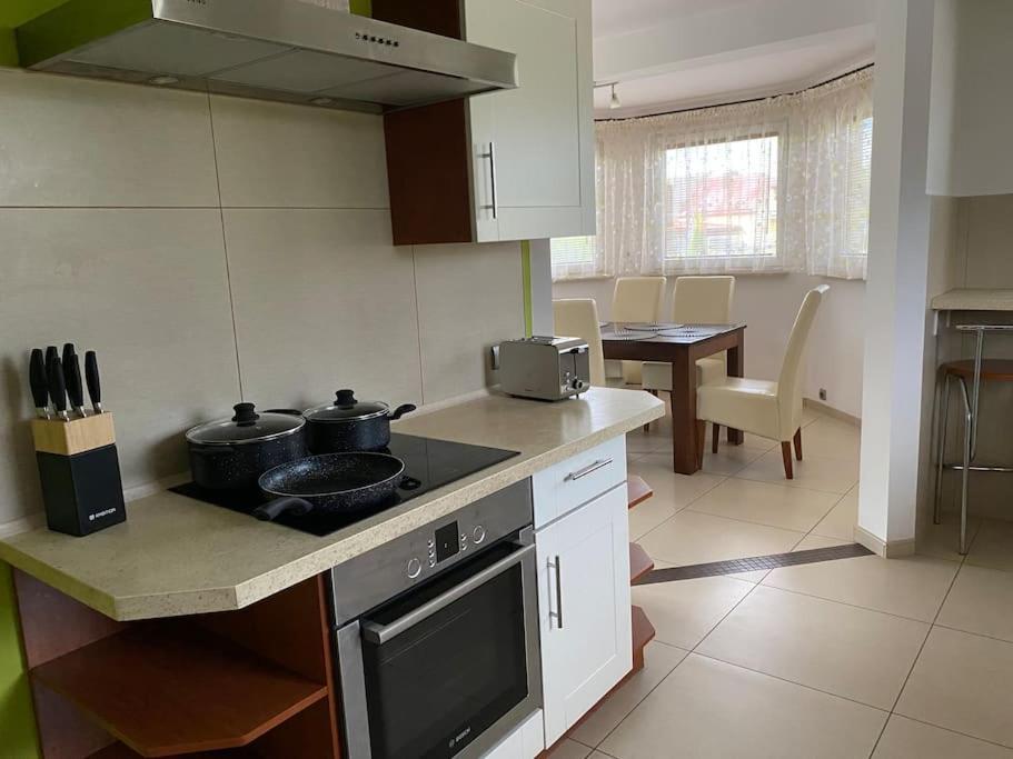 Goczałkowice-Zdrój 4 Bedroom Family House With Access To A Hot Tub מראה חיצוני תמונה